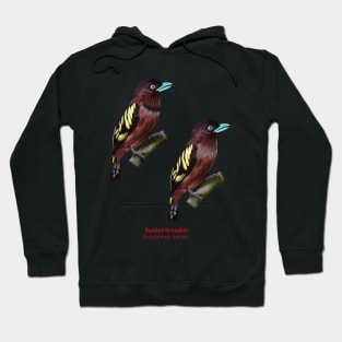 Banded Broadbill  | Eurylaimus harteti ⚥ Hoodie